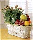 Buena Park Florist - Fruits and Flowers