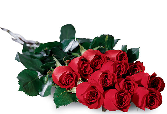 vissers florist in orange