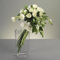 WFB2-11 from Visser's Florist and Greenhouses in Anaheim, CA