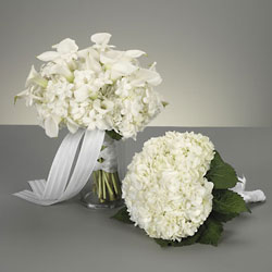 Bridal Bouquet WFB6-11 from Visser's Florist and Greenhouses in Anaheim, CA