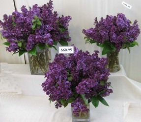 Fragrant Lilac from Visser's Florist and Greenhouses in Anaheim, CA