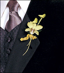 Cat's-Eye Green Orchid Boutonniere from Visser's Florist and Greenhouses in Anaheim, CA