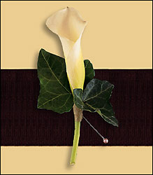 Miniature Calla Boutonniere from Visser's Florist and Greenhouses in Anaheim, CA