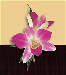 Purple Dendrobium Boutonniere from Visser's Florist and Greenhouses in Anaheim, CA