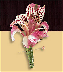 Pink Alstroemeria Boutonniere from Visser's Florist and Greenhouses in Anaheim, CA
