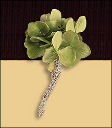 Green Hydrangea Boutonniere from Visser's Florist and Greenhouses in Anaheim, CA