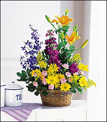 Stylish Thoughts from Visser's Florist and Greenhouses in Anaheim, CA