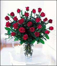 Two Dozen Red Roses from Visser's Florist and Greenhouses in Anaheim, CA