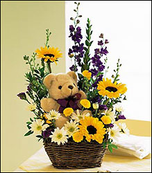 Costa Mesa Florist - Bear and Basket