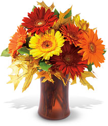 Autumn Gerberas from Visser's Florist and Greenhouses in Anaheim, CA