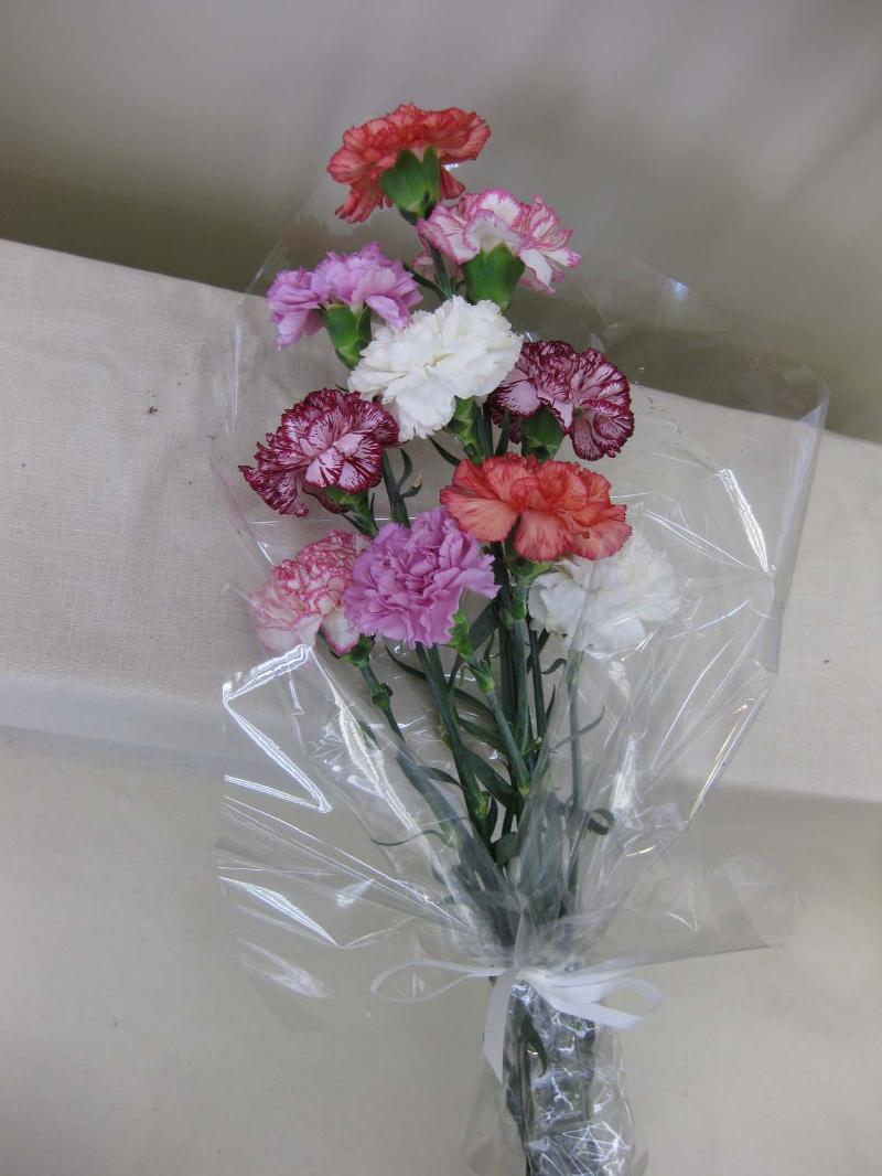 carnations