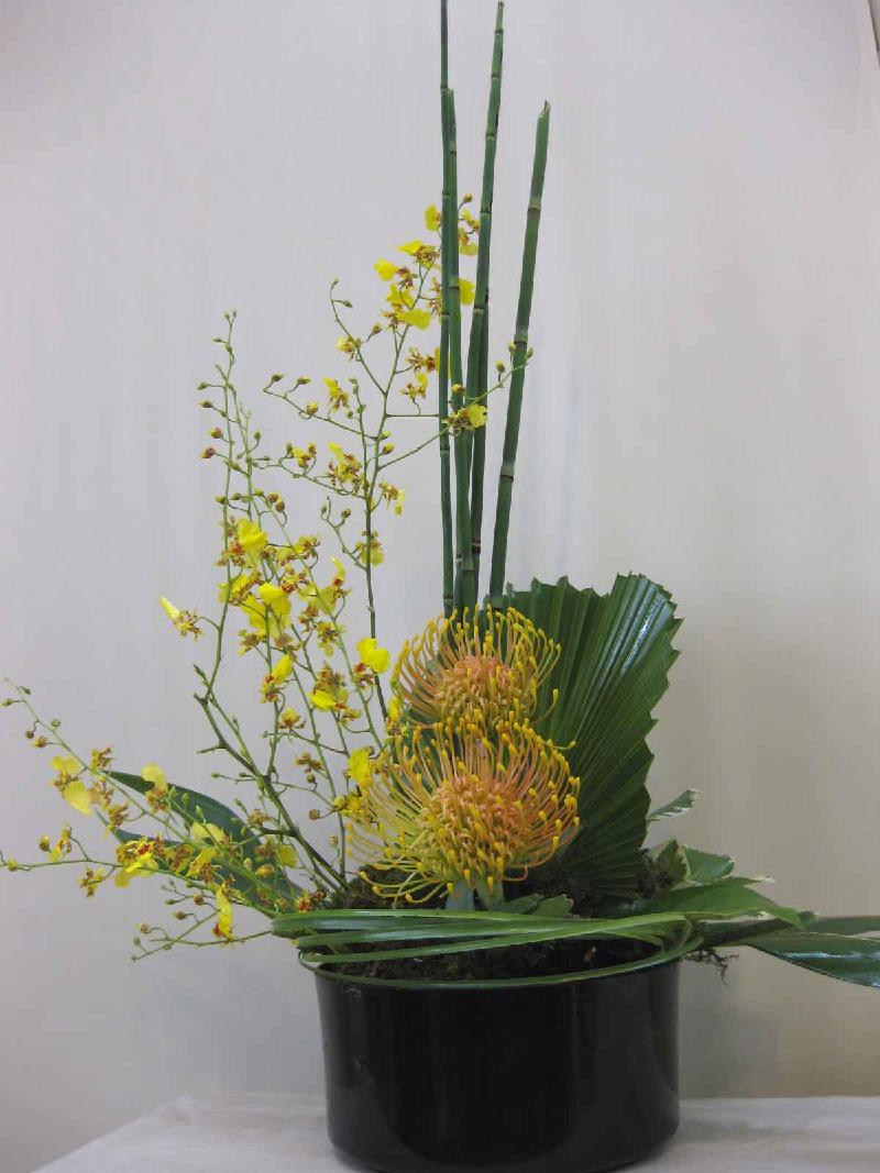 Tropical Arrangement