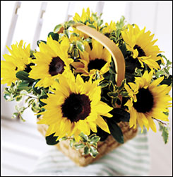 Sunflower Basket