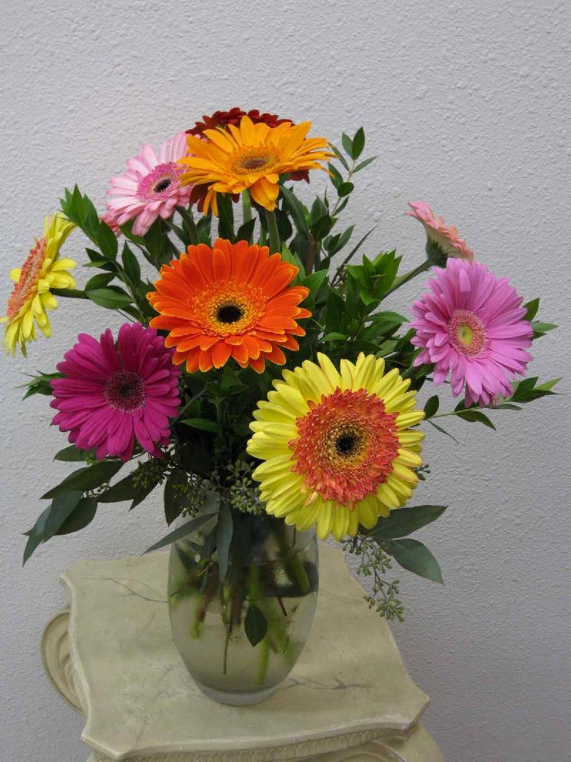 Gerber Daisies from Visser's Florist in Orange County, CA