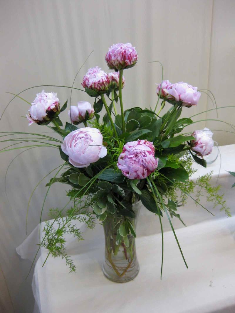 Peonies 10 stem