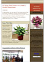 April 2008 Newsletter