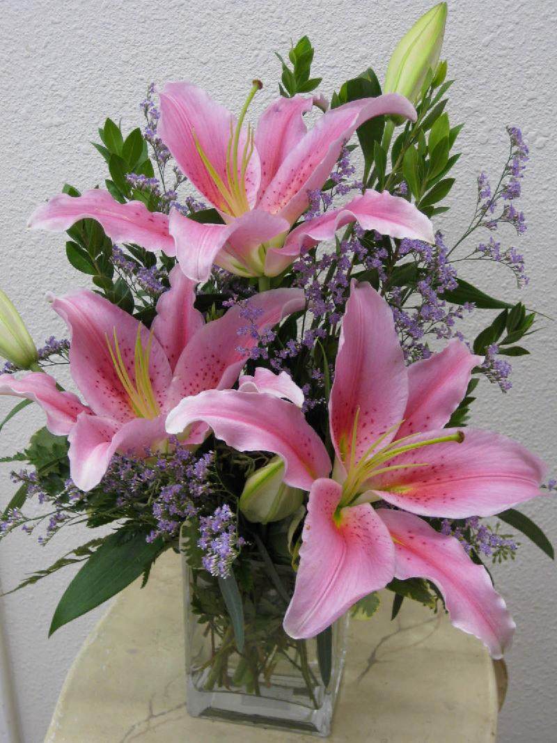 Stargazer lilies