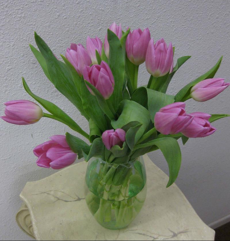 $20-tulipspecial