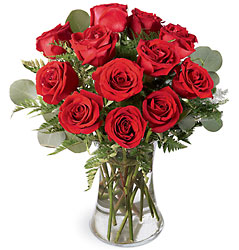 Dozen Red Roses