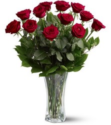 Dozen red long stem roses